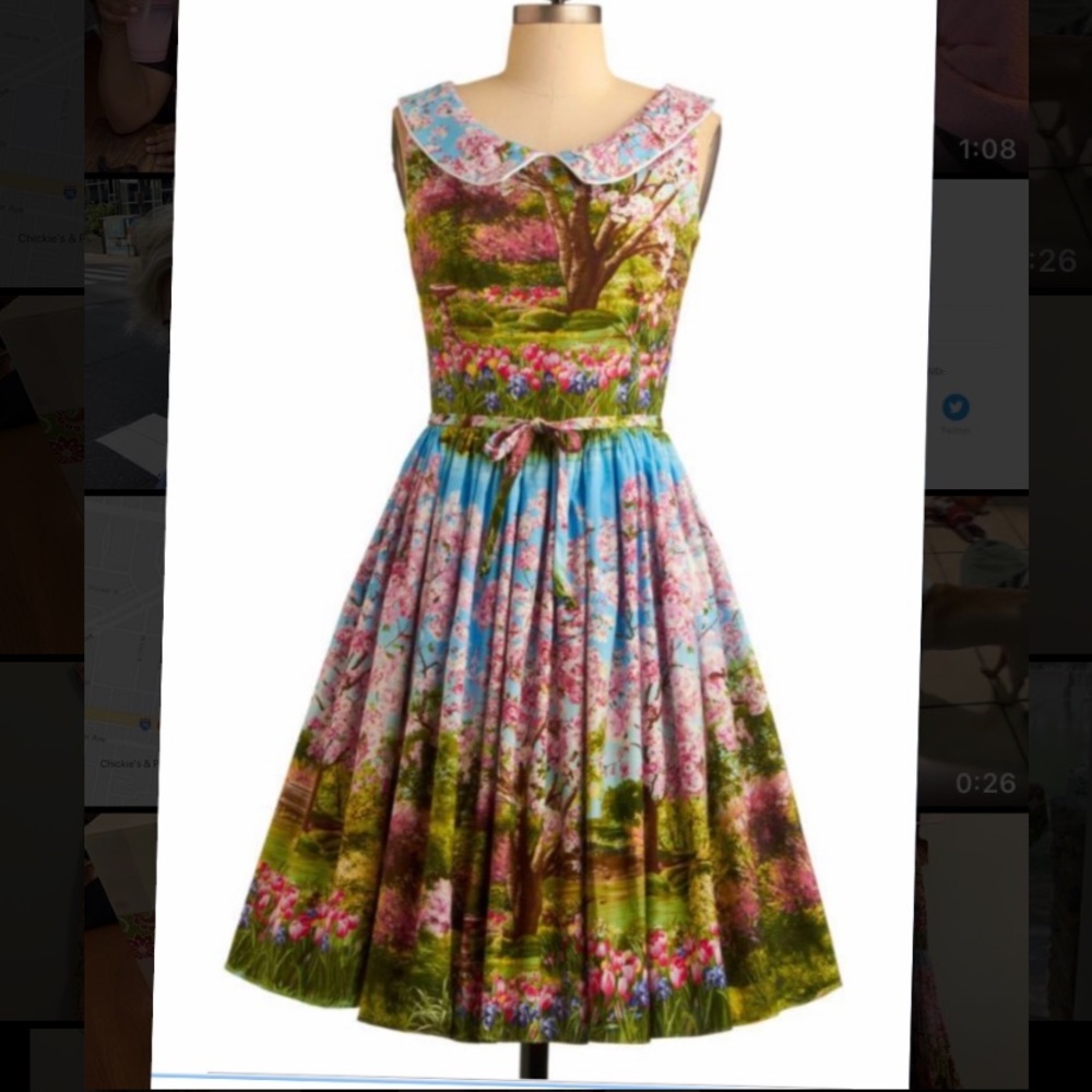 Bernie Dexter ModCloth “Scene & Believed” dress